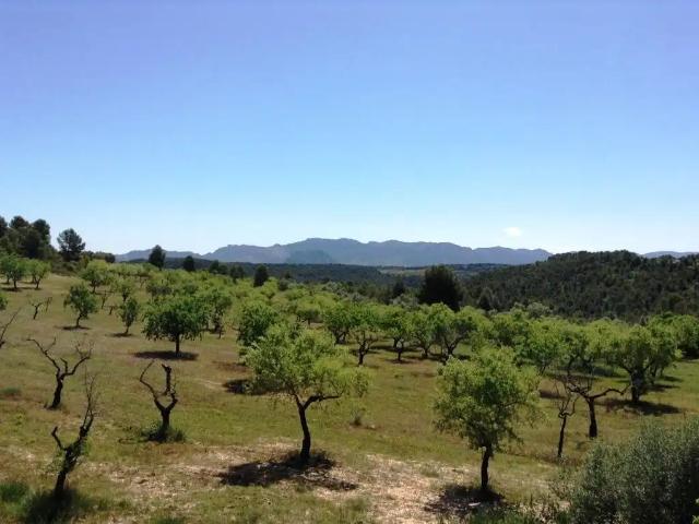 Finca en venta en Matarraña / Matarranya, Arens De Lledó