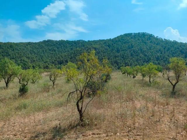 Finca en venta en Matarraña / Matarranya, Arens De Lledó