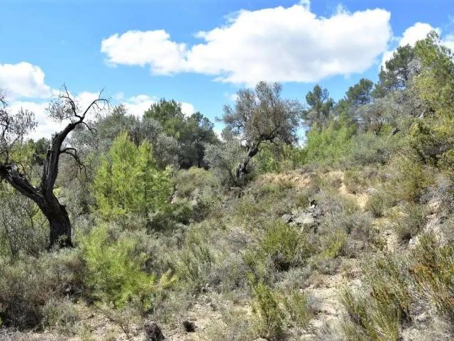 Finca en venta en Arens de Lledó / Arenys de Lledó, Matarraña / Matarranya