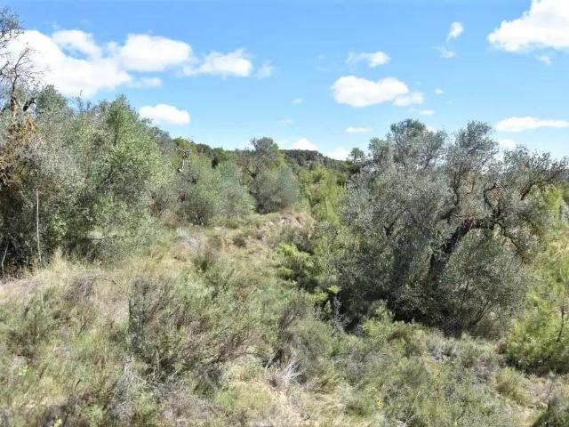 Finca en venta en Matarraña / Matarranya, Arens De Lledó