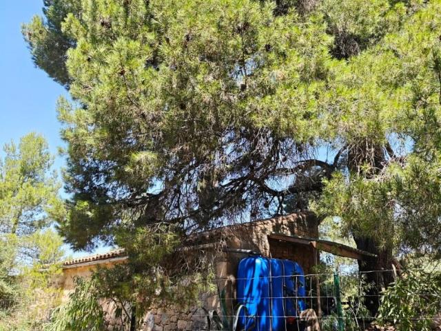 Finca en venta en Matarraña / Matarranya, Arens De Lledó