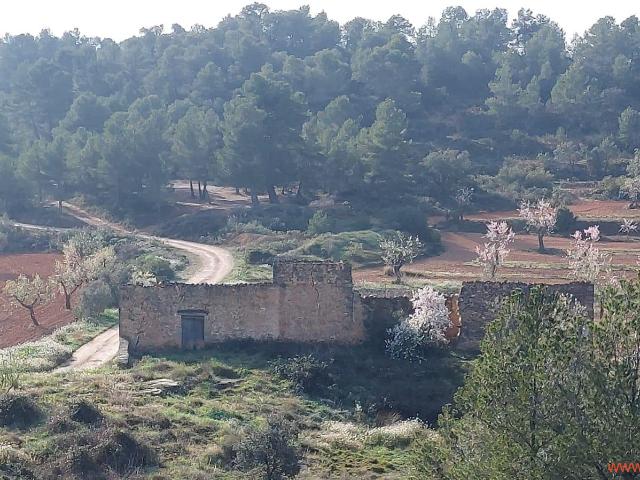Finca en venta en Matarraña / Matarranya, Arens De Lledó