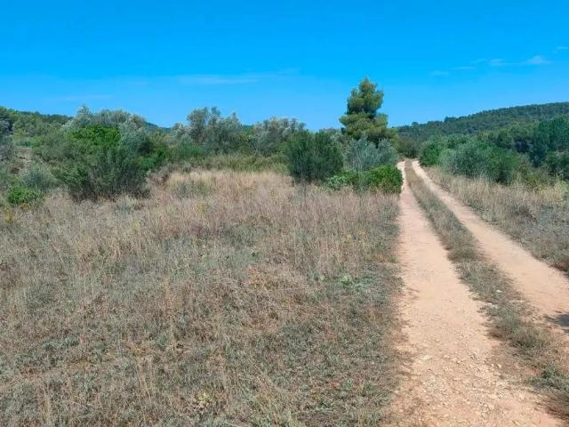 Finca en venta en Arens de Lledó / Arenys de Lledó, Matarraña / Matarranya