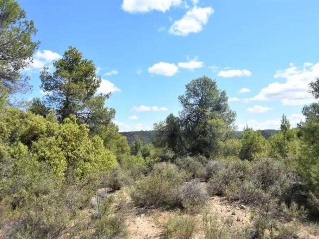 Finca en venta en Matarraña / Matarranya, Arens De Lledó
