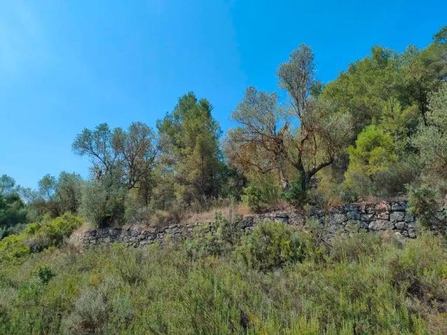 Finca en venta en Matarraña / Matarranya, Arens De Lledó