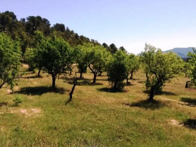 Finca en venta en Matarraña / Matarranya, Arens De Lledó