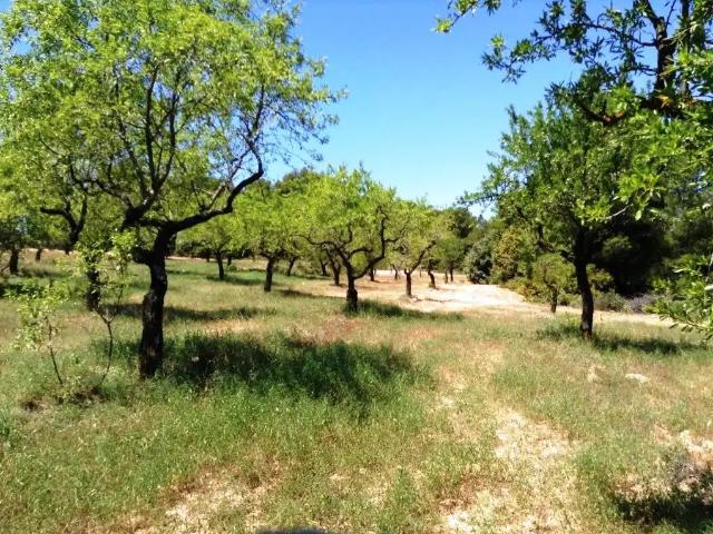 Finca en venta en Matarraña / Matarranya, Arens De Lledó