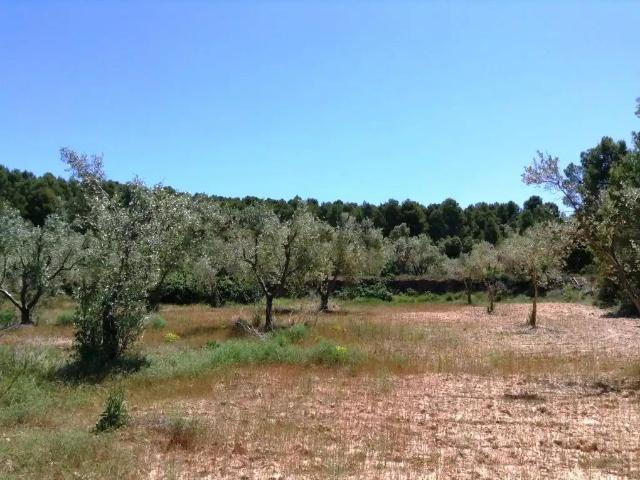 Finca en venta en Arens de Lledó / Arenys de Lledó, Matarraña / Matarranya
