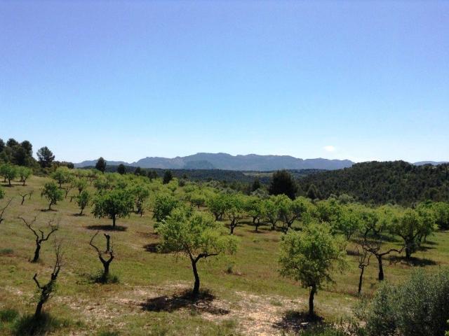 Finca en venta en Arens De Lledó, Teruel
