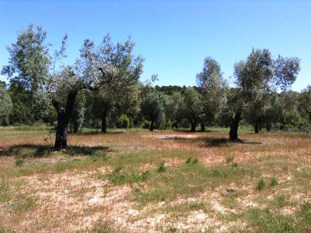 Finca en venta en Arens De Lledó, Teruel