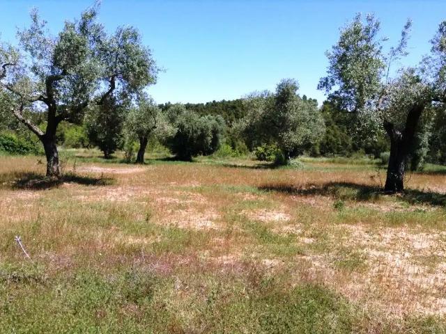 Finca en venta en Matarraña / Matarranya, Arens De Lledó