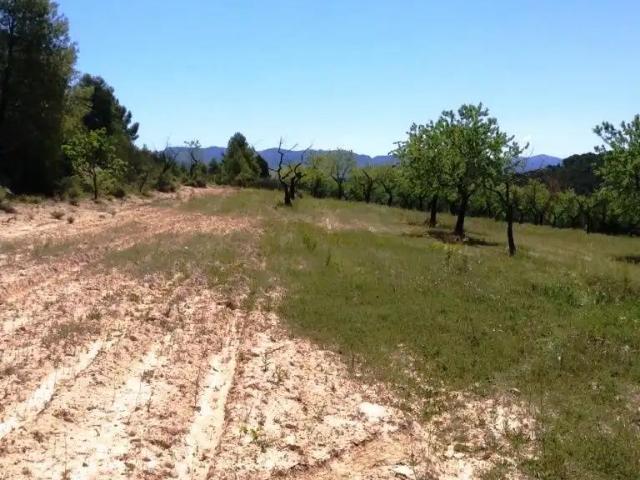 Finca en venta en Matarraña / Matarranya, Arens De Lledó