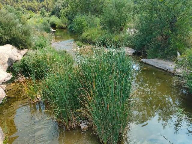 Finca en venta en Matarraña / Matarranya, Arens De Lledó