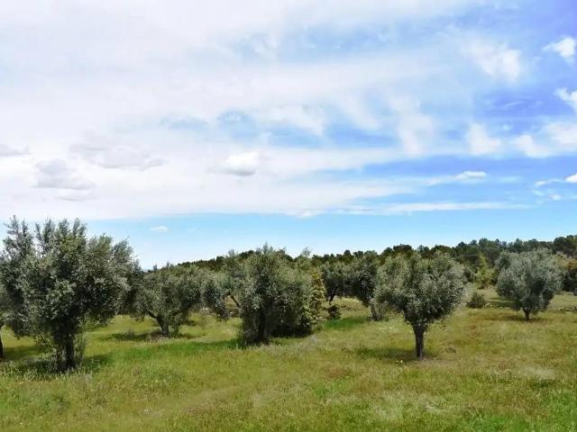 Finca en venta en Arens de Lledó / Arenys de Lledó, Matarraña / Matarranya