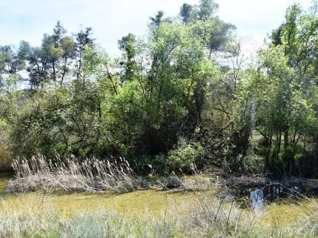 Finca en venta en Matarraña / Matarranya, Arens De Lledó