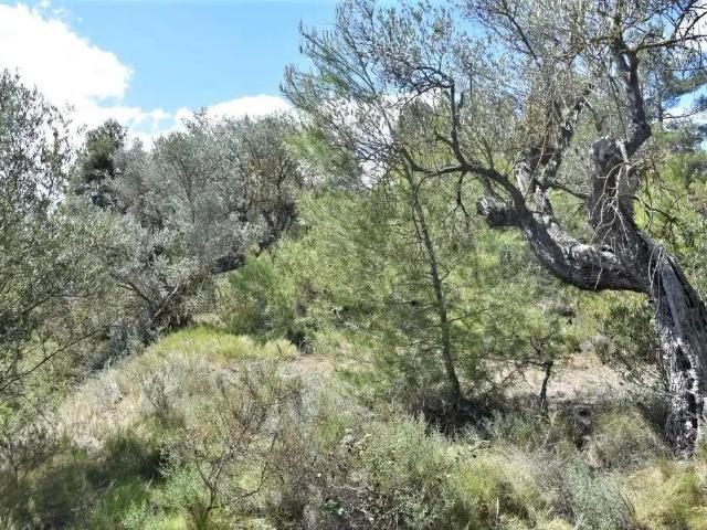 Finca en venta en Matarraña / Matarranya, Arens De Lledó