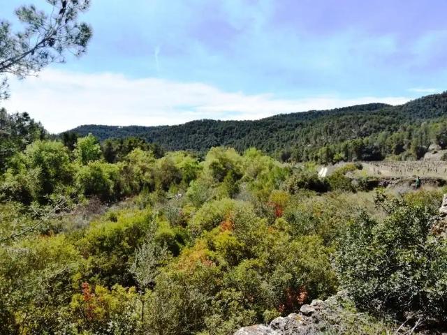 Finca en venta en Matarraña / Matarranya, Arens De Lledó