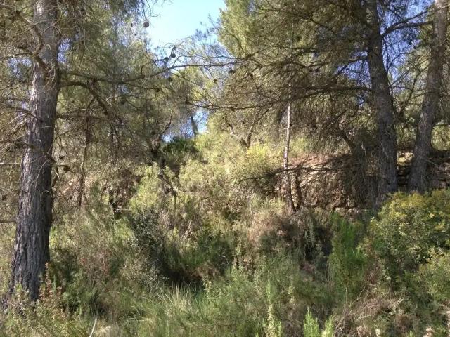 Finca en venta en Matarraña / Matarranya, Arens De Lledó