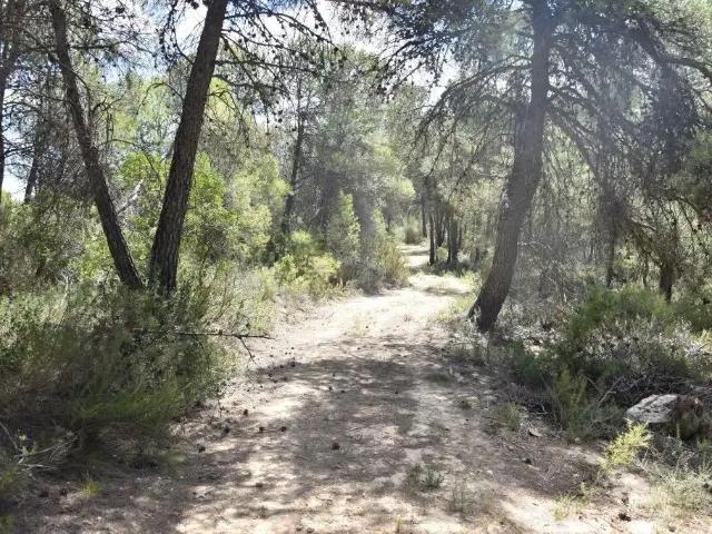 Finca en venta en Matarraña / Matarranya, Arens De Lledó