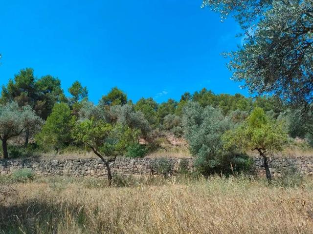 Finca en venta en Matarraña / Matarranya, Arens De Lledó