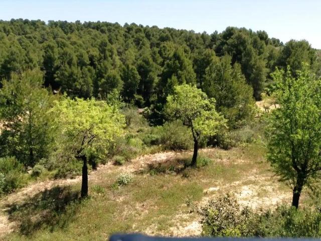Finca en venta en Matarraña / Matarranya, Arens De Lledó