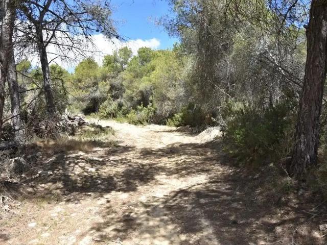 Finca en venta en Matarraña / Matarranya, Arens De Lledó