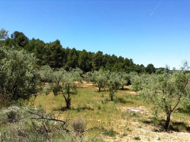 Finca en venta en Matarraña / Matarranya, Arens De Lledó