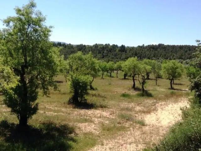 Finca en venta en Matarraña / Matarranya, Arens De Lledó