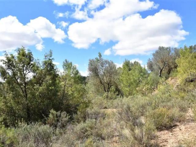 Finca en venta en Matarraña / Matarranya, Arens De Lledó