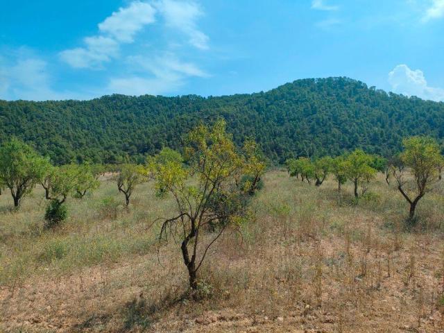 Finca en venta en Arens De Lledó, Teruel
