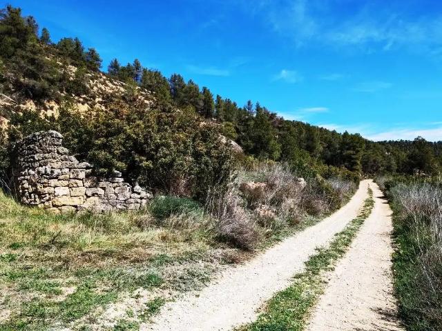 Finca en venta en Arens de Lledó / Arenys de Lledó, Matarraña / Matarranya
