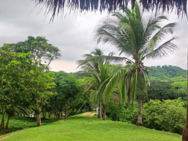 Finca En Venta En Baranoa En. V181825