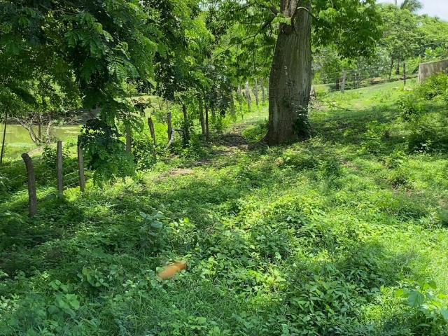 Finca En Venta En Baranoa En. V181825