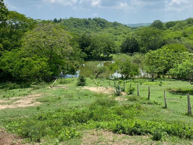Finca En Venta En Baranoa En. V181825