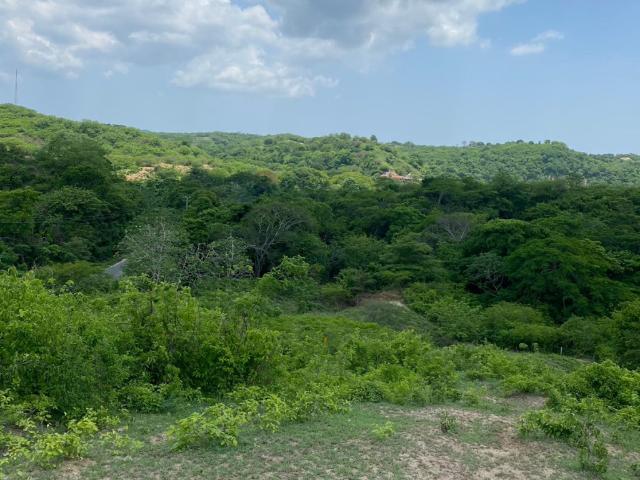 Finca En Venta En Baranoa En. V181825