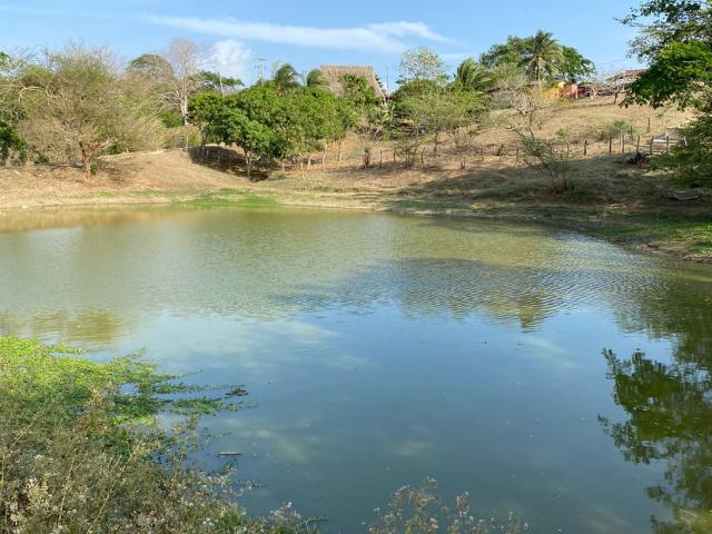 Finca En Venta En Baranoa En. V181825