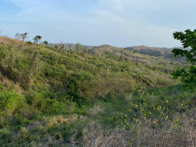 Finca En Venta En Baranoa En. V181825