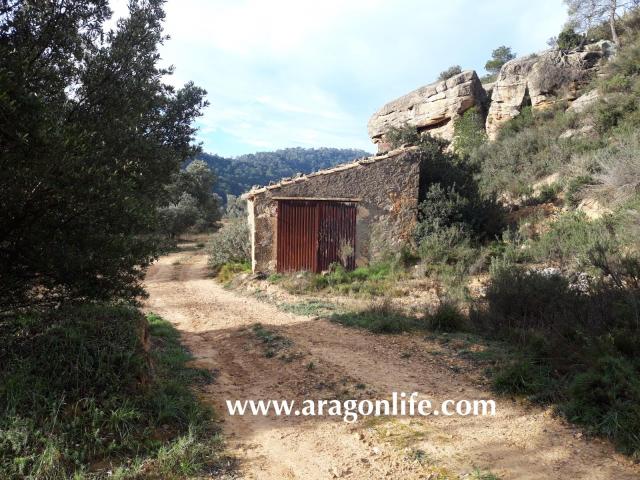 Finca en venta en Batea Finca en venta en Batea
