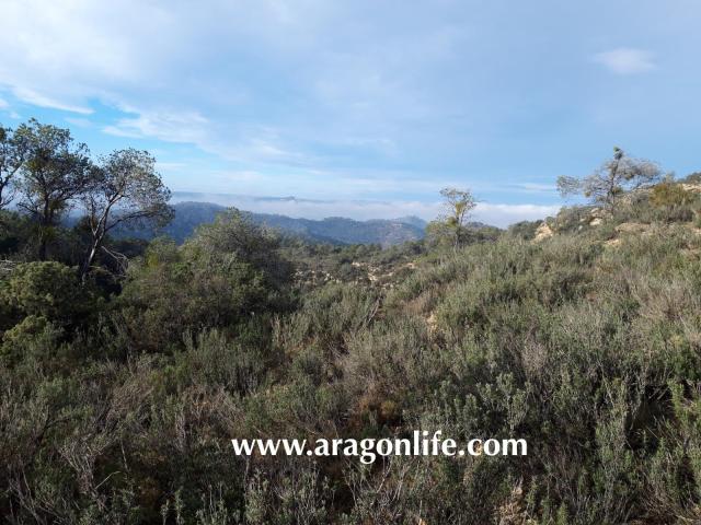 Finca en venta en Terra Alta, Catalunya