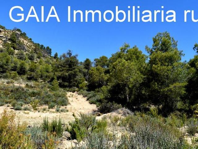 Finca en venta en Terra Alta, Catalunya