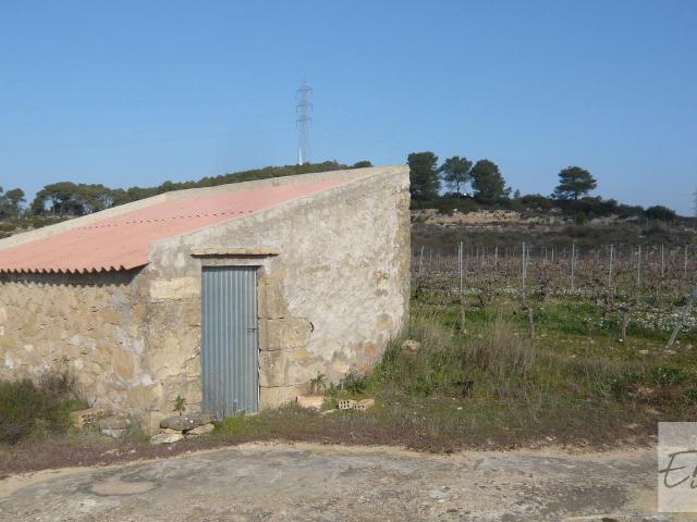 Finca en venta en Batea Finca en venta en Batea
