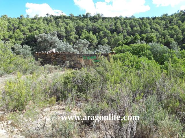 Finca en venta en Bajo Aragón-Caspe / Baix Aragó-Casp, Aragón