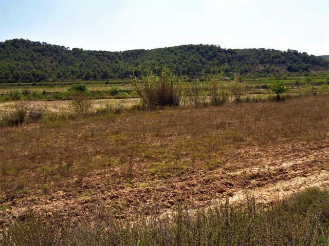 Finca en venta en Batea, Tarragona