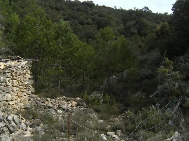 Finca en venta en Matarraña / Matarranya, Beceite
