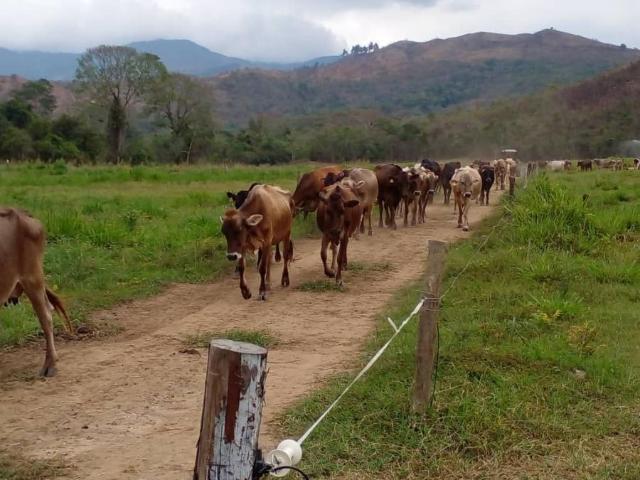 Terreno en venta en Bejuma, Carabobo
