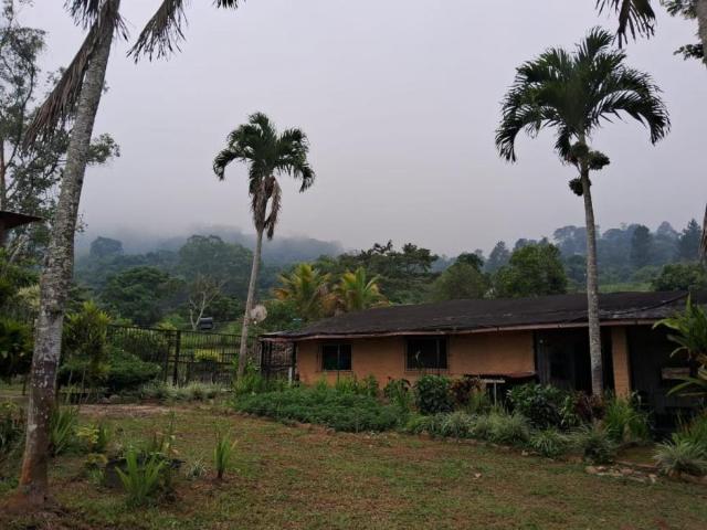 Terreno en venta en Bejuma, Carabobo