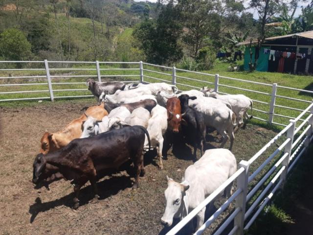 Finca en venta en Caldas, Belalcazar