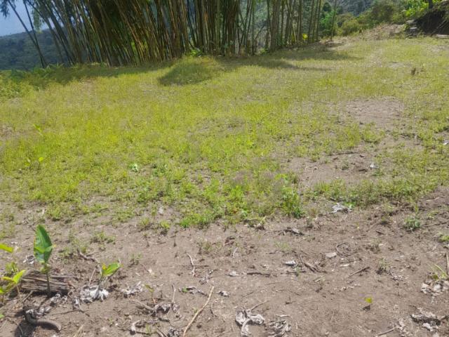 Finca en venta en Caldas, Belalcazar