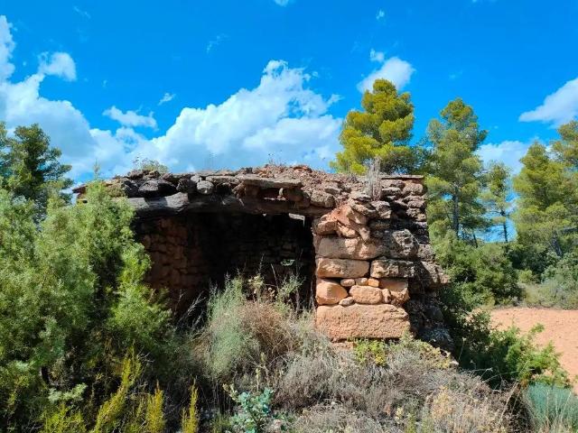 Finca en venta en Bajo Aragón, Aragón