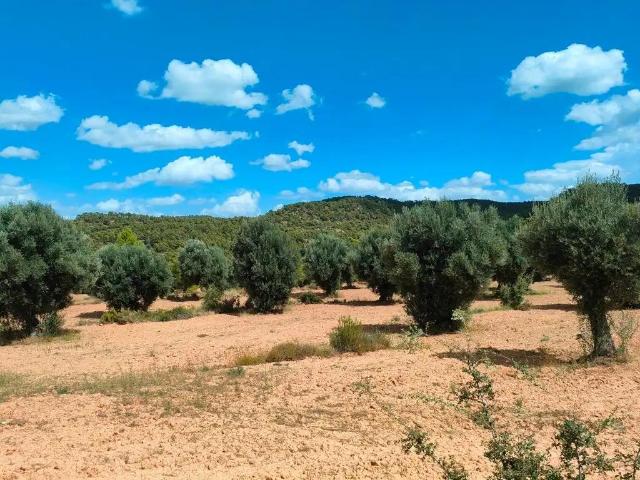 Finca en venta en Bajo Aragón, Aragón